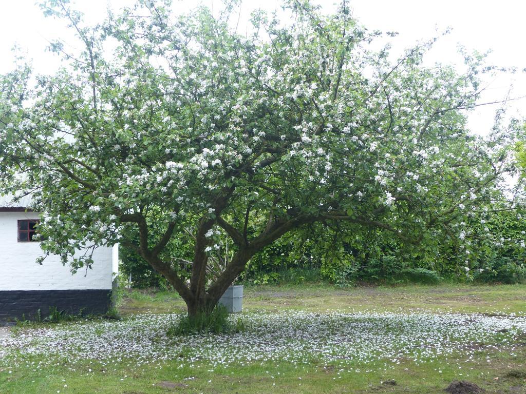 Kristiansminde Farm Holiday Tistrup Buitenkant foto