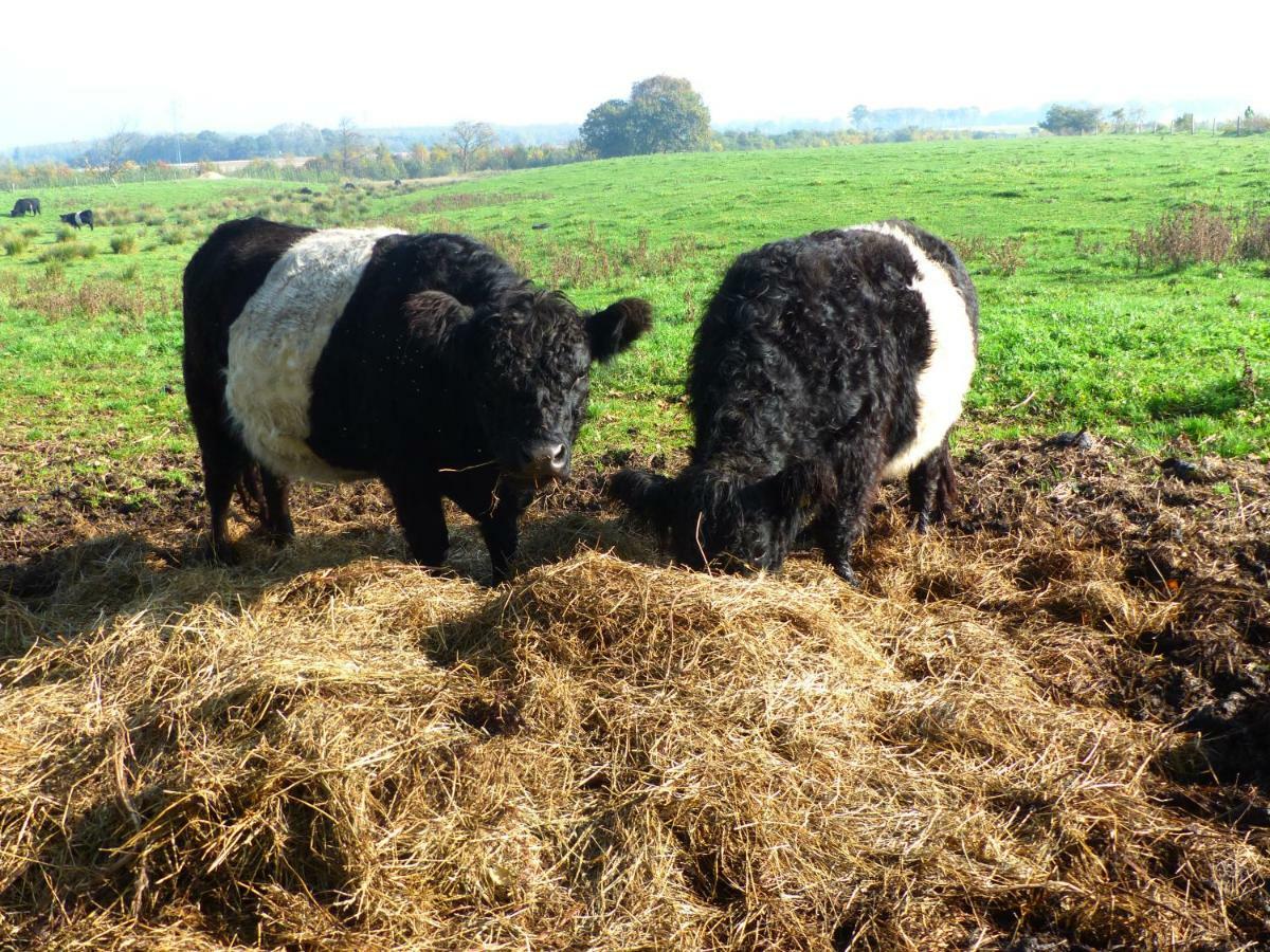 Kristiansminde Farm Holiday Tistrup Buitenkant foto